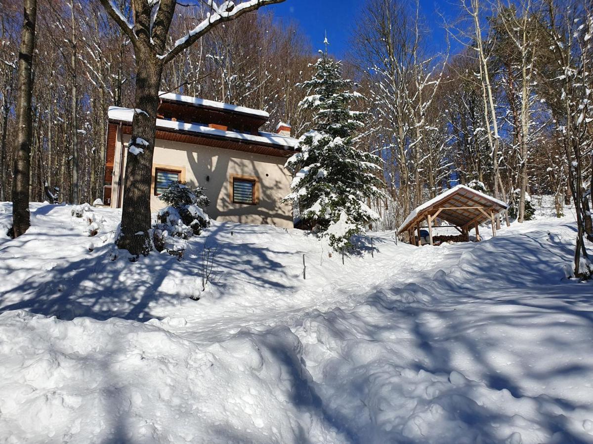 Pod Mareszka Villa Krempna Dış mekan fotoğraf